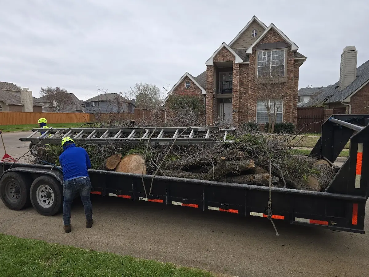 Expert Crown Reduction with proper safety equipment in Thedford